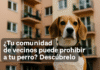 ¿Tu perro puede vivir en comunidad 