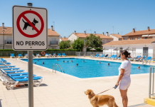 ¿Pueden los perros bañarse en la piscina comunitaria?